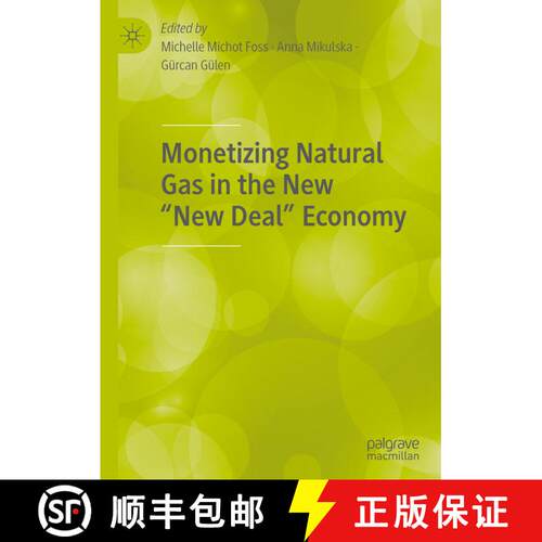 【3-4周达】精装 Monetizing Natural Gas in the New “New Deal” Economy [9783030599829]