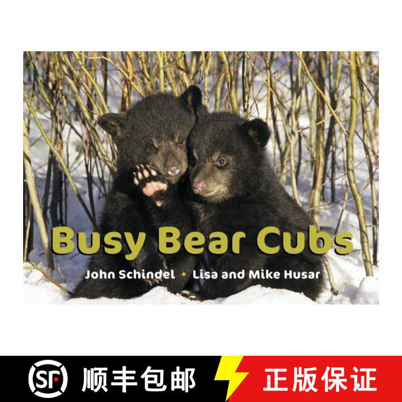 【3-4周达】Busy Bear Cubs [9781582463025]