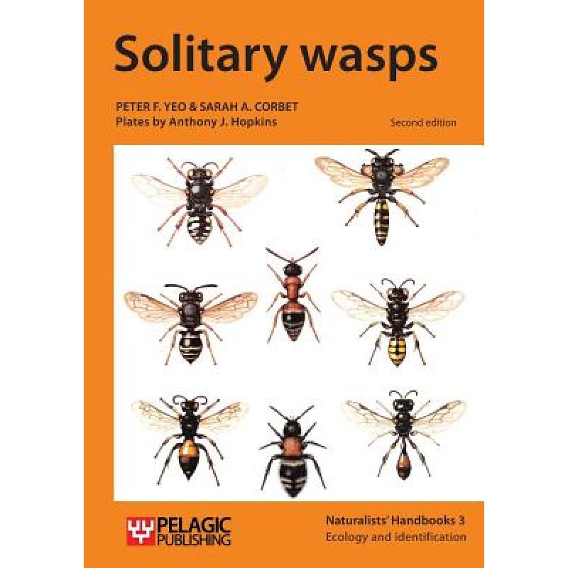 【4周达】Solitary wasps[9781784270339]-封面