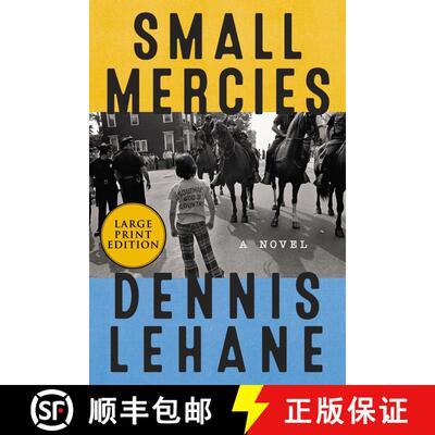 【3-4周达】Small Mercies: A Detective Mystery [9780062129529]