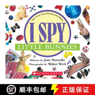 Bunnies 9780439785358 Spy Little Picture Foil with With Riddles Book