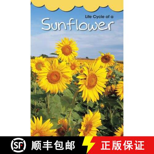 预订 Life Cycle of a Sunflower [9781484627938]