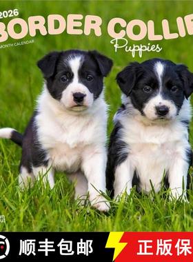 【3-4周达】Border Collie Puppies 2026 12 X 24 Inch (Hanging) Monthly Square Wall Calendar Plastic-Free [9798330702541]