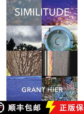 【3-4周达】Similitude [9781938349980]