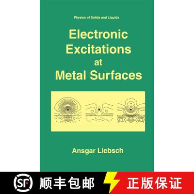 【3-4周达】Electronic Excitations at Metal Surfaces [9781441932716]
