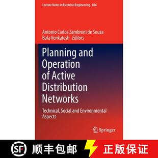 Planning 9783030908119 Environment... Distribution 4周达 Networks Operation and Social Technical Active