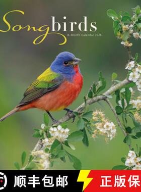 【3-4周达】Songbirds Square Wall Sunday Start Calen [9781529898170]