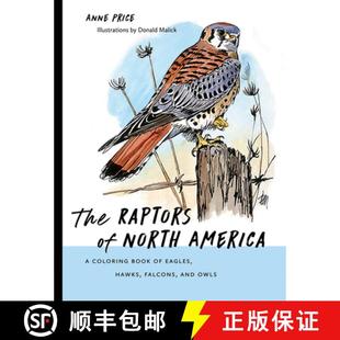 North Falcons America The and Hawks Owls Book Raptors Eagles 4周达 9780826359254 Coloring