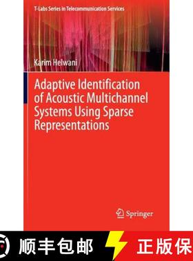 【3-4周达】Adaptive Identification of Acoustic Multichannel Systems Using Sparse Representations [9783319089539]