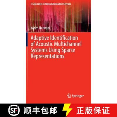【3-4周达】Adaptive Identification of Acoustic Multichannel Systems Using Sparse Representations [9783319089539]