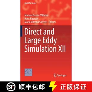 Ercoftac Workshop the Proceedings Dles Simulation Direct 2019 Large Eddy 4周达 9783030428211 and