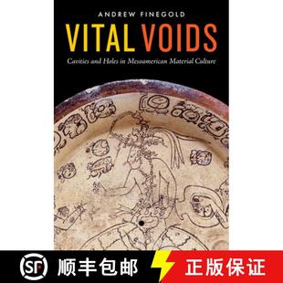 Holes Cavities Culture Vital Material 4周达 9781477322437 Voids Mesoamerican and