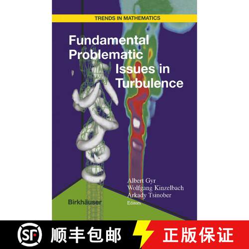 【3-4周达】精装 Fundamental Problematic Issues in Turbulence [9783764361501]