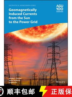 【3-4周达】Geomagnetically Induced Currents From The Sun To The Power Grid [Wiley地球科学] [9781119434344]