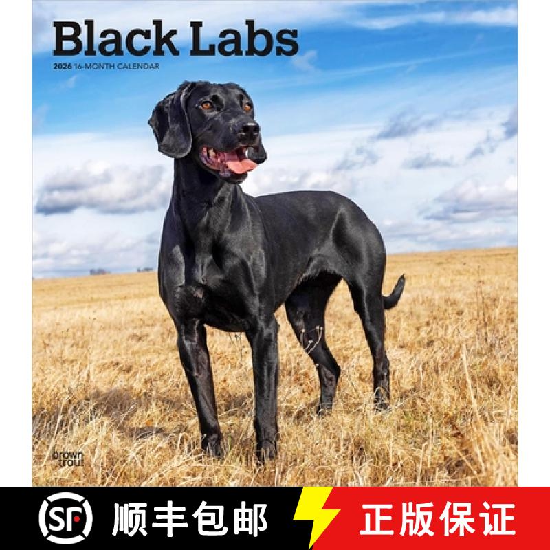 【3-4周达】Black Labrador Retrievers 2026 12 X 24 Inch (Hanging) Monthly Square Wall Calendar Plastic... [9798330704248]