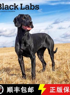 预订 Black Labrador Retrievers 2026 12 X 24 Inch (Hanging) Monthly Square Wall Calendar Plastic-Free [9798330704248]
