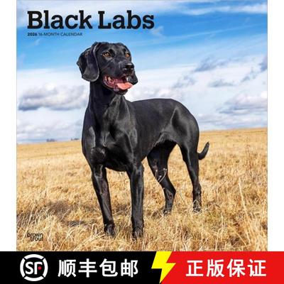 【3-4周达】Black Labrador Retrievers 2026 12 X 24 Inch (Hanging) Monthly Square Wall Calendar Plastic... [9798330704248]