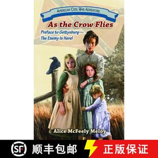 the Preface 9781572494114 Enemy Crow 4周达 Gettysburg Flies Here The