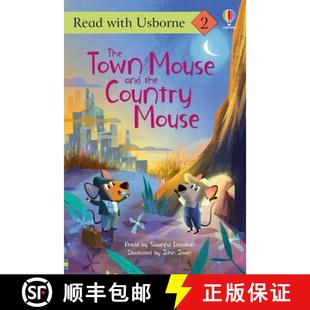 and Mouse the Country 预订 9781836052159 Town