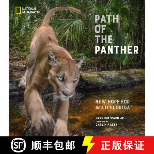 【3-4周达】Path of the Panther: New Hope for Wild Florida [9781426223624]