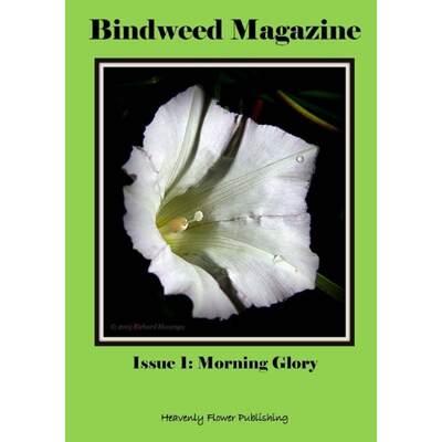 【4周达】Bindweed Magazine Issue 1: Morning Glory [9781326725839]