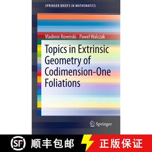 【3-4周达】Topics in Extrinsic Geometry of Codimension-One Foliations [9781441999078]