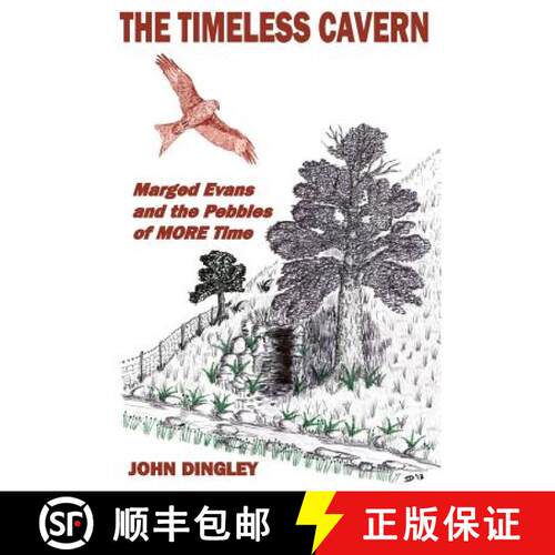 【3-4周达】The Timeless Cavern: Marged Evans and the Pebbles of MORE Time [9780991442348]
