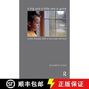 Two with Old and One Gone Little Therapy 9781855755413 Boy 4周达 Crisis Big Year