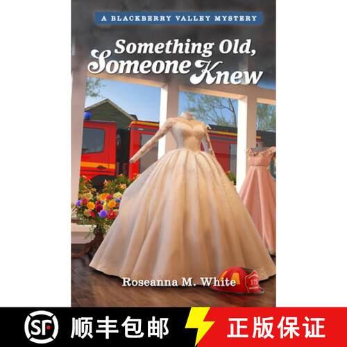 【3-4周达】Something Old, Someone Knew [9781965860557]