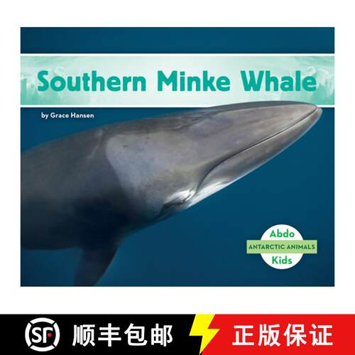 【3-4周达】Southern Minke Whale [9781098209414]