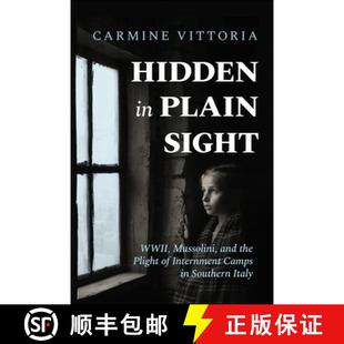 Mussolini Internment and the Sight 9781960299055 Southern Italy Hidden Plain WWII Plight Camps 4周达