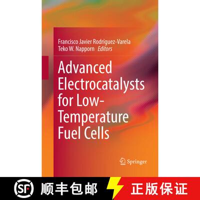 【3-4周达】Advanced Electrocatalysts for Low-Temperature Fuel Cells [9783030075576]