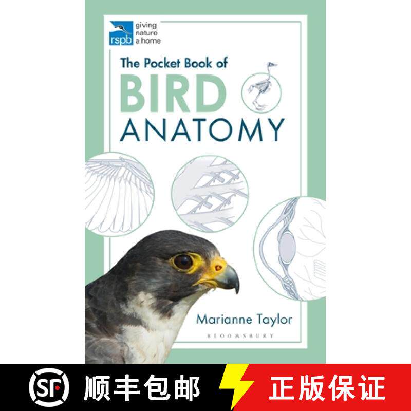 【3-4周达】RSPB Pocket Book of Bird Anatomy: Shape  Form and Function in the Avian World [9781472976925]