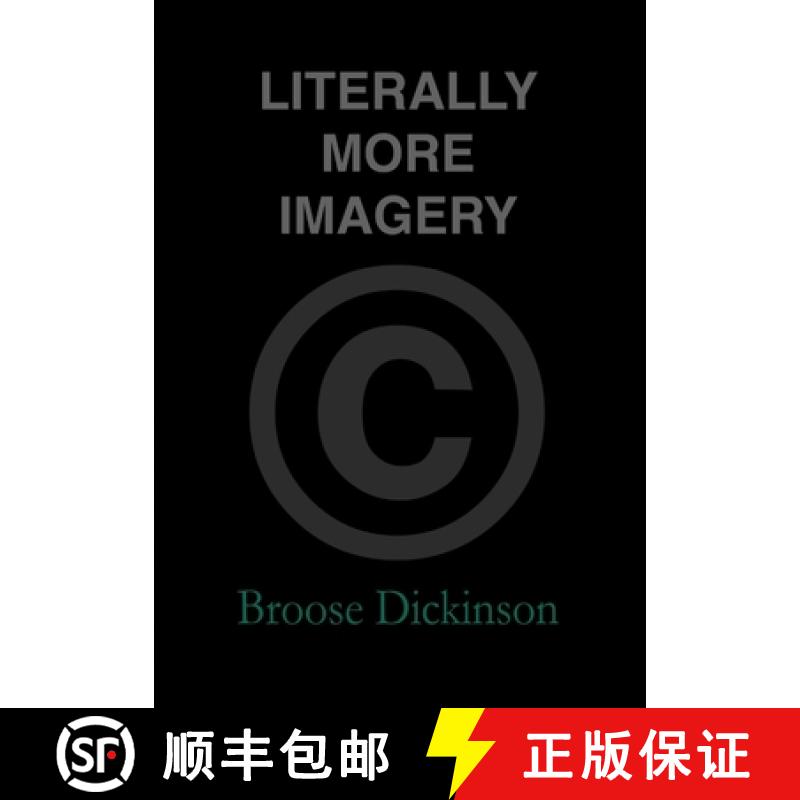 【3-4周达】精装 Literally More Imagery [9780578171951] - 实物图