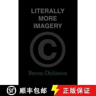 【3-4周达】精装 Literally More Imagery [9780578171951]