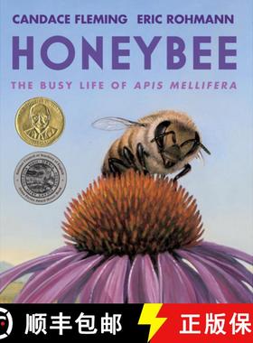 【3-4周达】Honeybee: The Busy Life of APIs Mellifera [9780823451166]