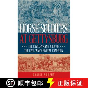 Cavalryman Civil View Soldiers Gettysburg 9780811772716 Pivotal Campaign Horse The the War 4周达