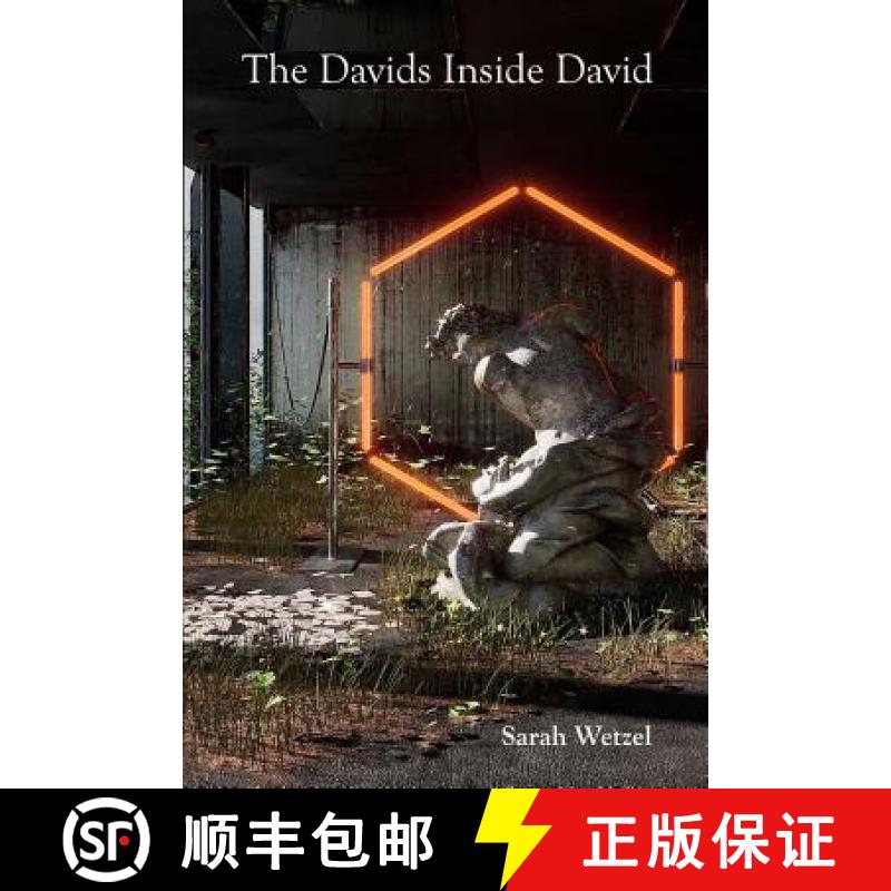 【3-4周达】The Davids Inside David [9781947896154]