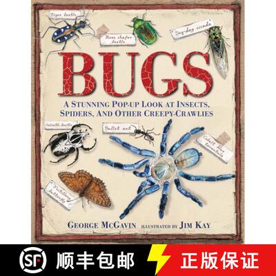 【3-4周达】Bugs: A Stunning Pop-up Look at Insects, Spiders, and Other Creepy-Crawlies [9780763667627]