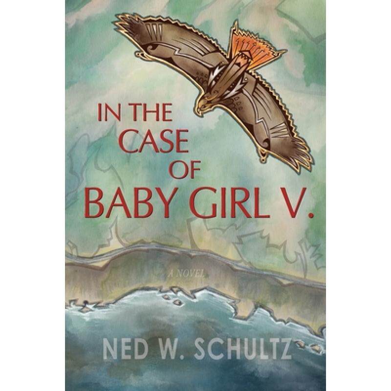 预订 in the case of baby girl v.: a novel [9780996694650]
