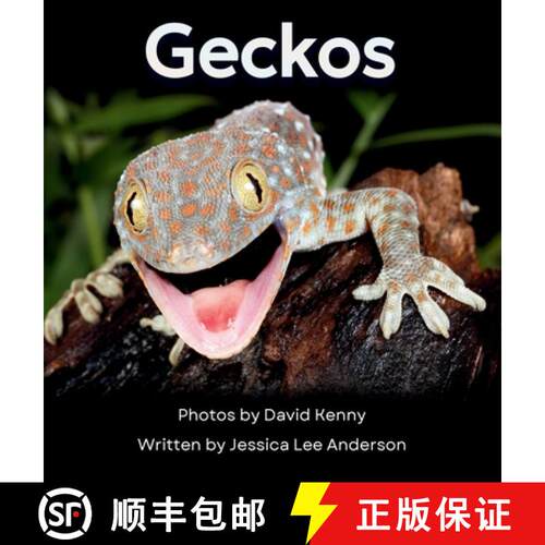 【3-4周达】精装 Geckos: Get to Know More About These Vocal Lizards! [9781964078557]