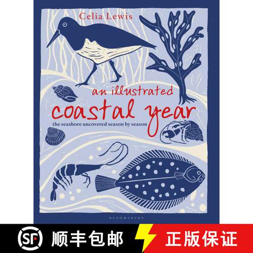 【3-4周达】精装 An Illustrated Coastal Year: The seashore uncovered season by season [9781399402163]