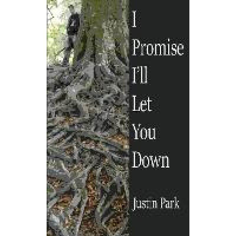 【4周达】i promise ill let you down [9781912578993]