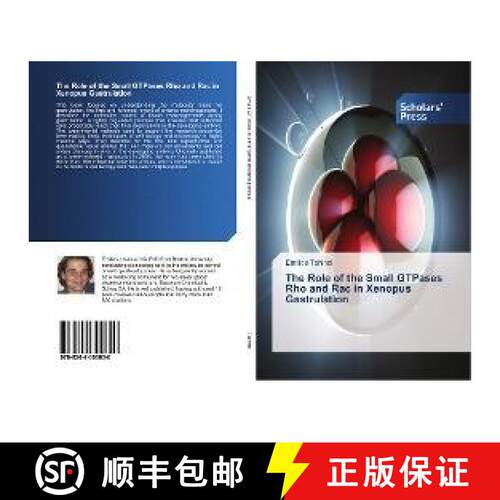 预订 The Role of the Small GTPases Rho and Rac in Xenopus Gastrulation [9786202300650]