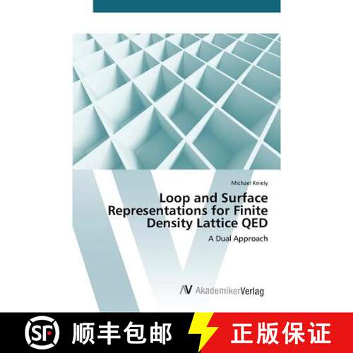 预订 Loop and Surface Representations for Finite Density Lattice QED [9783639841329]
