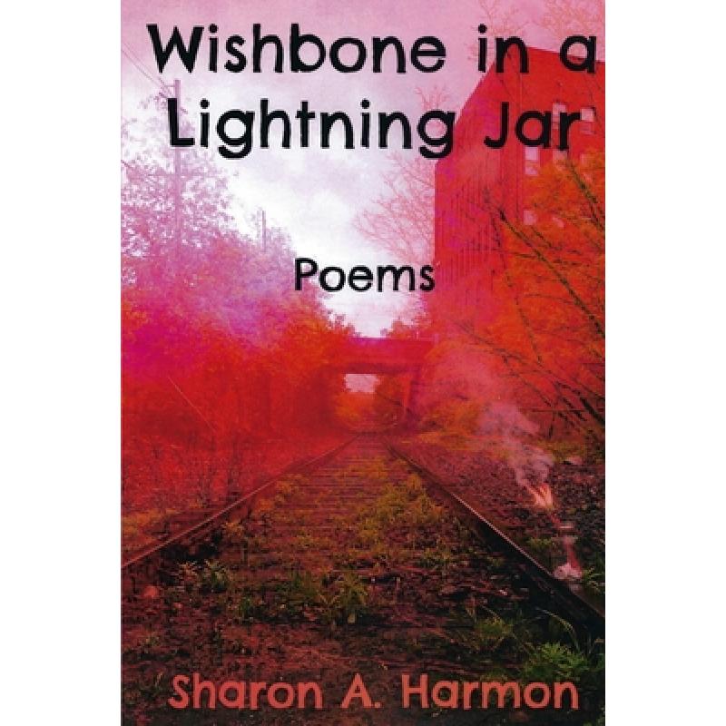 【4周达】Wishbone in a Lightning Jar: Poems [9781960038043] 书籍/杂志/报纸 文学类原版书 原图主图