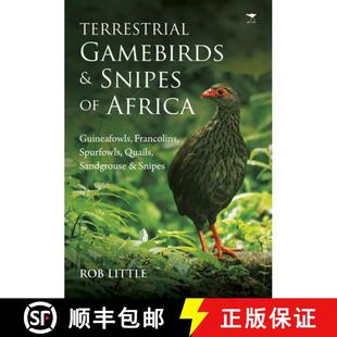 【3-4周达】Terrestrial Gamebirds & Snipes of Africa: Guineafowls, Francolins, Spurfowls, Quails, Sand... [9781431424146]