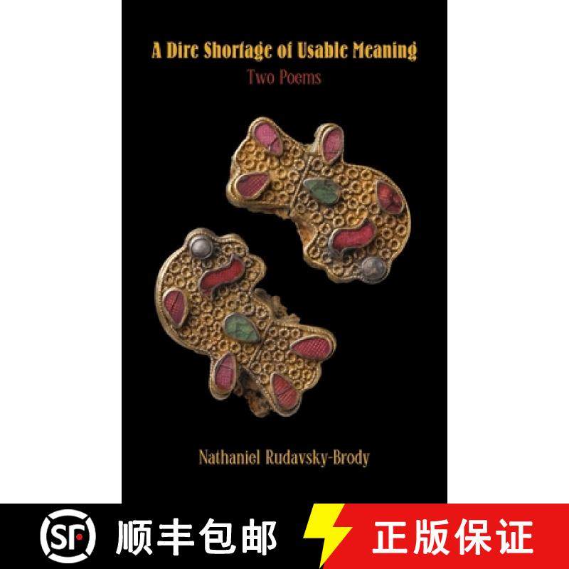 预订 A Dire Shortage of Usable Meaning [9781952335747]