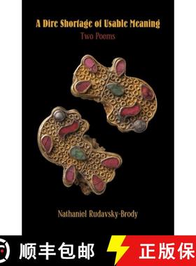 预订 A Dire Shortage of Usable Meaning [9781952335747]