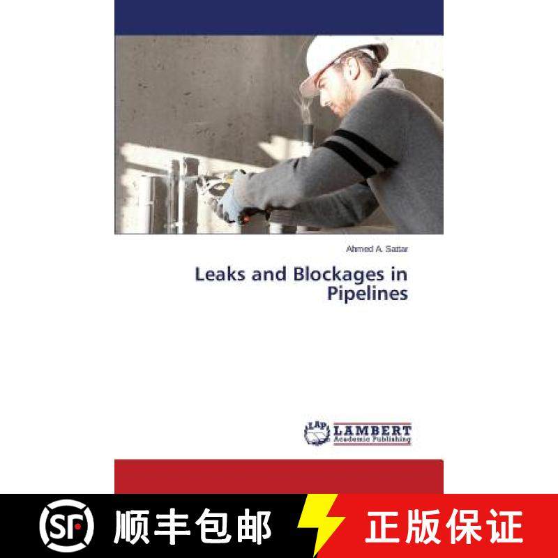 预订 Leaks and Blockages in Pipelines [9783659000928]